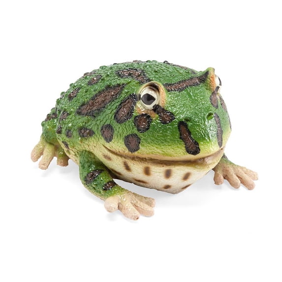 Natural Latex Rubber Frogs, Argentine Wide-Mouth