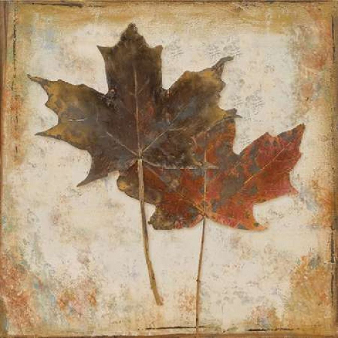 Natural Leaves IV Canvas Art - Patricia Pinto (24 x 24)