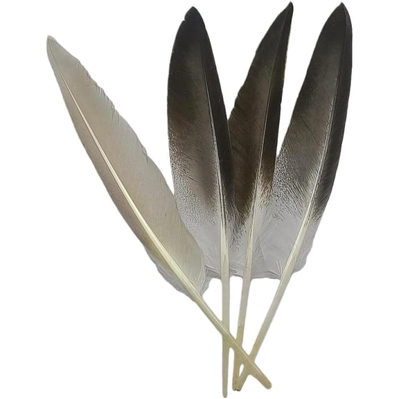 Natural Long Craft Feathers Bulk 8-10 Inch Grey Goose Feathers for Crafts