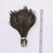 WYZCTTD Natural Long Peacock Feathers - 30pcs 15-17 inches for Floral Arrangements, Wedding, Home and Party Decorations