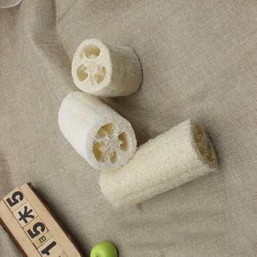 Natural Loofah, 100% (2.95" Length) Nature 1 Pack of Organic Loofahs Loofah Spa Exfoliating Scrubber Natural Luffa Body Wash Sponge Remove Dead Skin Made Soap, 2.95x1.97"