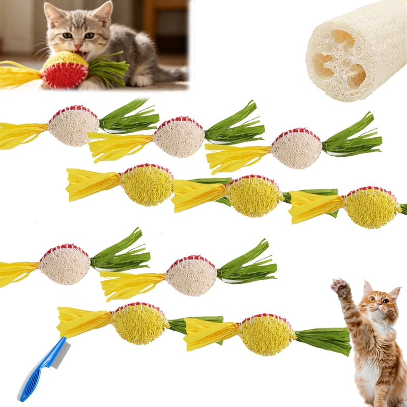 Natural Loofah Cat Toys Teeth Cleaning - Loofah Catnip Chew Sticks, Elastic Bouncing Chew Toy for Cats