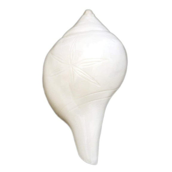 Natural Loud Blowing shankh First Quality Engraved, Size 10 cm Conch in White Color and Large Size | Shankhnaad Shankh By Indian Collectible