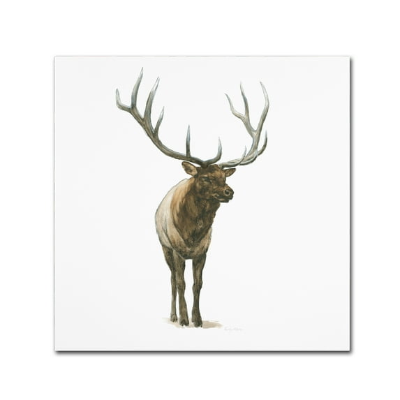 Natural Majesty I' Canvas Art by Emily Adams