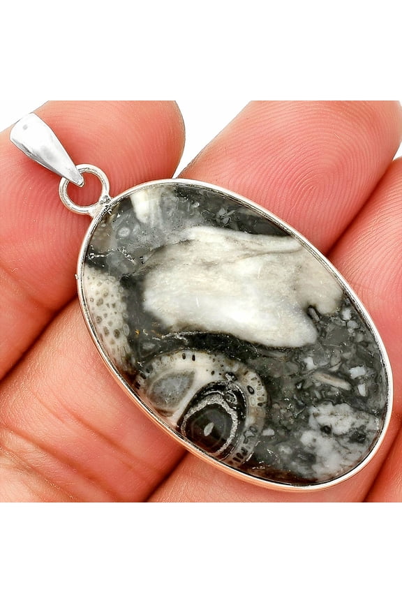 Natural Mexican Cabbing Fossil 925 Sterling Silver Pendant Jewelry P-1001 SDP150280