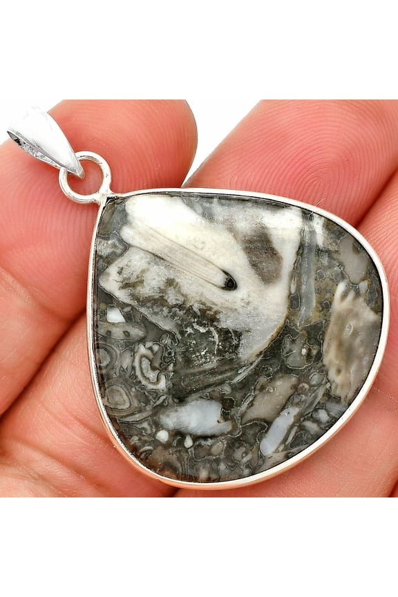 Natural Mexican Cabbing Fossil 925 Sterling Silver Pendant Jewelry P-1001 SDP150454