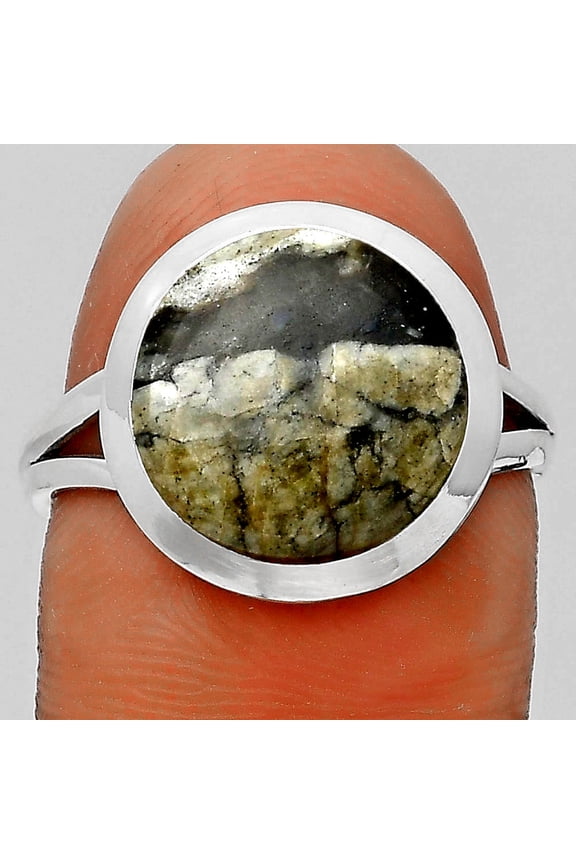 Natural Mexican Cabbing Fossil 925 Sterling Silver Ring s.8 Jewelry R-1005 SDR202098