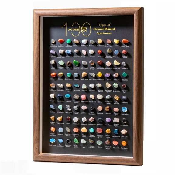 Natural Mineral Specimen Display Box, 100 Pcs Rock Collection, 12.6 Inch
