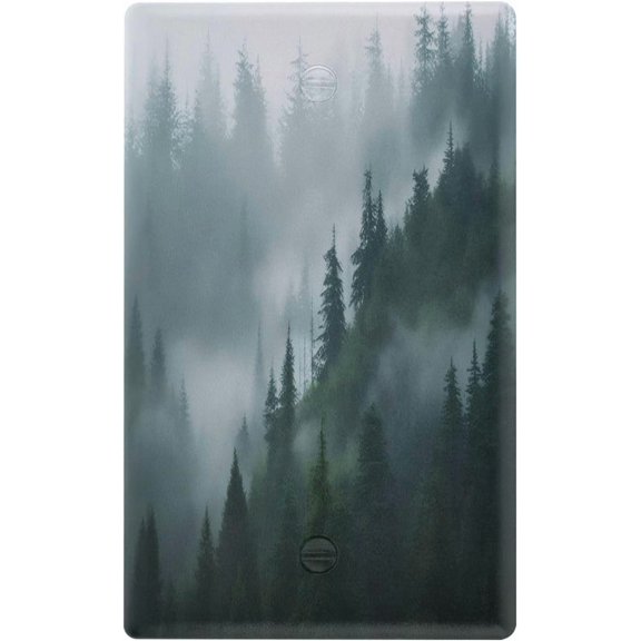 Natural Misty Light Switch Cover, 1 Gang Blank Wall Plate for Home Decor
