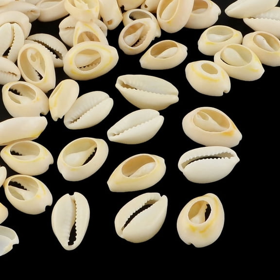 Natural Mixed Cowrie Shell Beads Cowrie Shells PapayaWhip 16-18x12-13x5-7mm 470pcs/500g