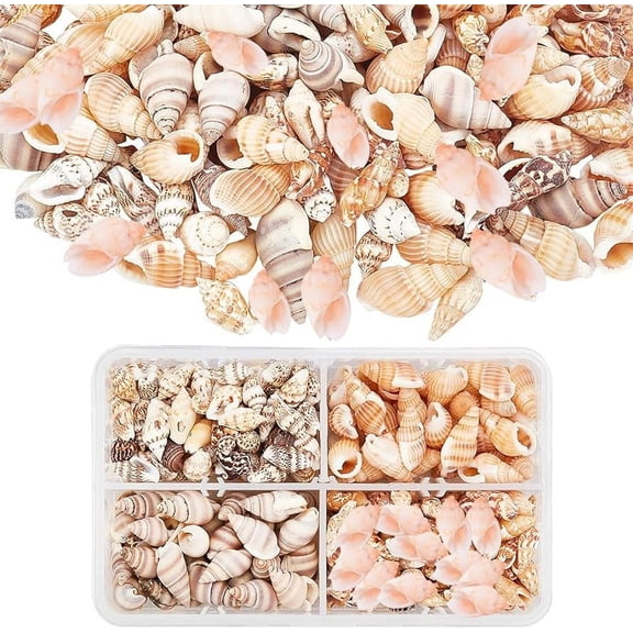Natural Mixed Shell Beads No Hole/Undrilled Mixed Color 12~20x5~12x5~10mm about 320~350pcs/box