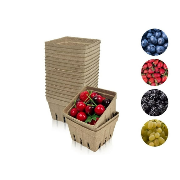Natural Molded Pulp Fiber Berry Basket,QZS Portable Paper Strawberry Basket for Vegetable,20Pack Vented Fruits Containers for Raspberry,Grape,Cherry