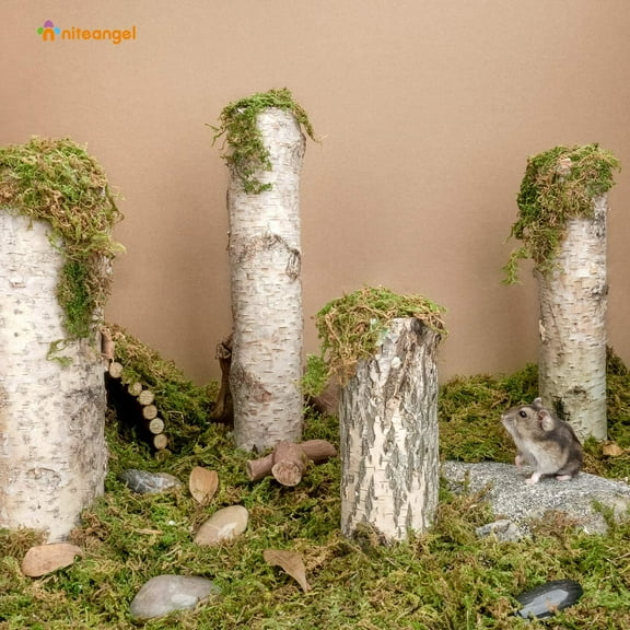 Natural Moss Bedding for Small Animals, Soft Nesting Material for Hamsters, Gerbils, Mice, Degus