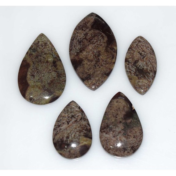 Natural Mushroom Rhyolite Cabochon Loose Gemstone 70.00 Cts