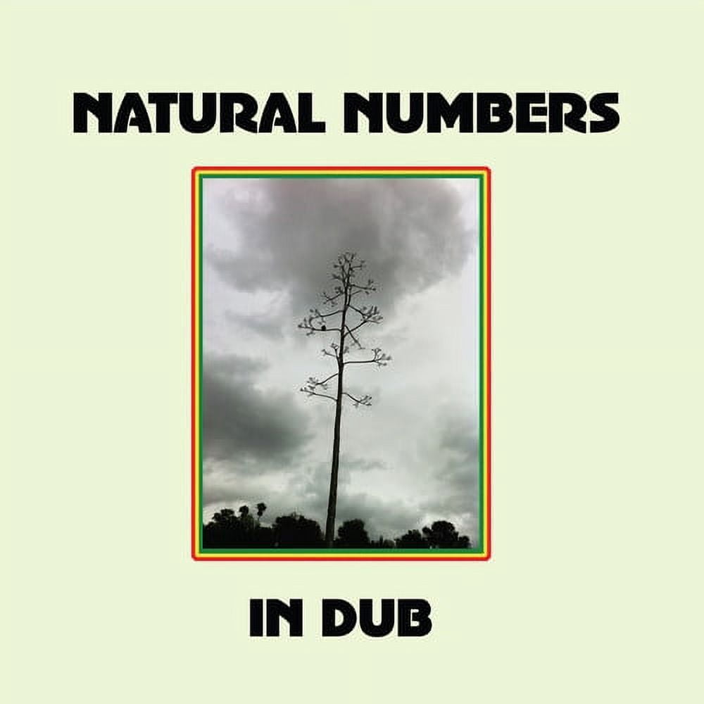 Natural Numbers - Natural Numbers in Dub - Music & Performance - Vinyl