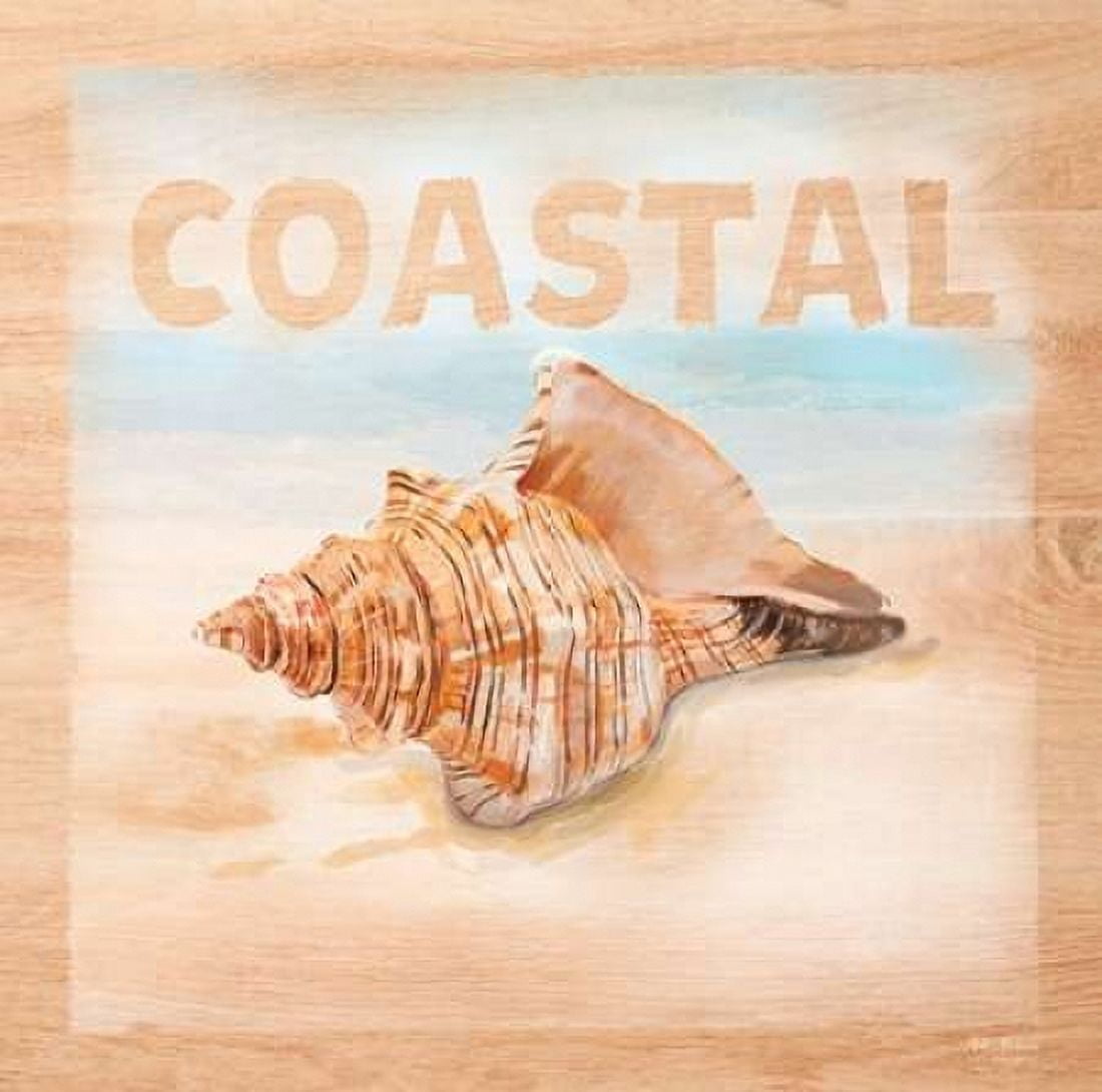 Natural Ocean Coastal Canvas Art - Art Atelier Alliance (24 x 24)