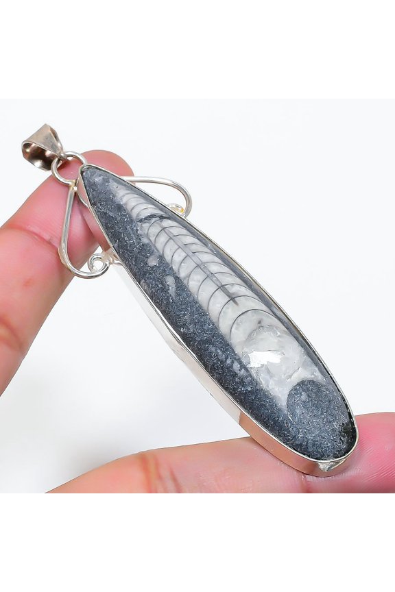 Natural Orthoceras Fossil Gemstone 925 Sterling Silver Pendant 3.35"