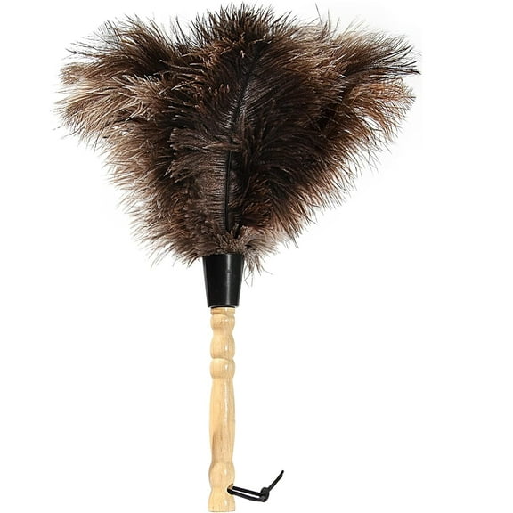 Natural Ostrich Feather Duster, Car Duster Interior/Exterior Cleaner, Duster for Blinds Kitchen Keyboard Office, Smart and Soft and Fluffy Duster