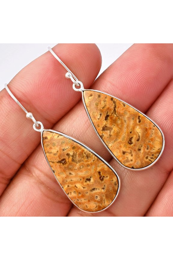 Natural Palm Root Fossil Agate 925 Sterling Silver Earrings Jewelry E-1001 SDE77114