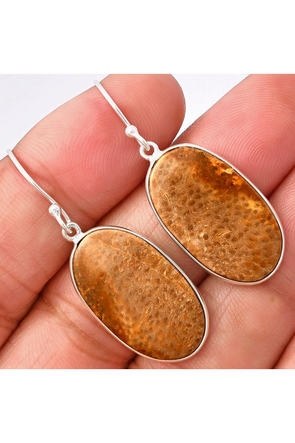 Natural Palm Root Fossil Agate 925 Sterling Silver Earrings Jewelry E-1001 SDE77120