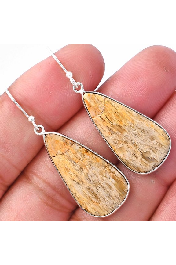 Natural Palm Root Fossil Agate 925 Sterling Silver Earrings Jewelry E-1001 SDE79884