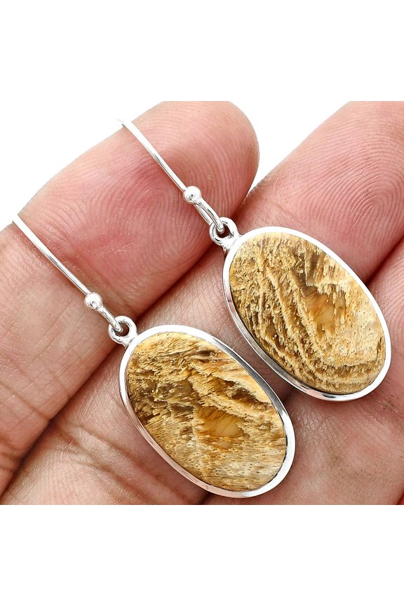 Natural Palm Root Fossil Agate 925 Sterling Silver Earrings Jewelry E-1004 SDE88867