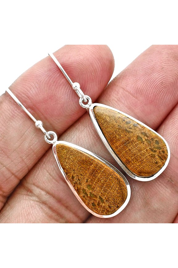Natural Palm Root Fossil Agate 925 Sterling Silver Earrings Jewelry E-1004 SDE88889