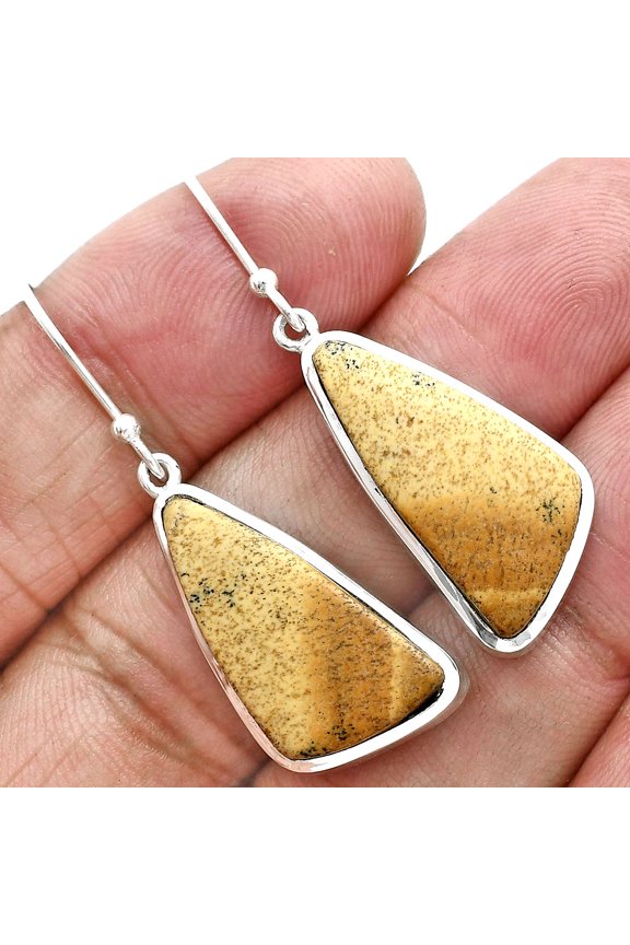 Natural Palm Root Fossil Agate 925 Sterling Silver Earrings Jewelry E-1004 SDE88967