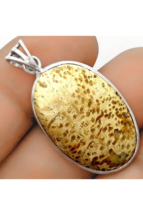 Natural Palm Root Fossil Agate 925 Sterling Silver Pendant Jewelry P-1001 SDP123110