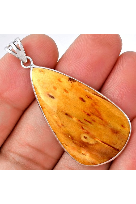 Natural Palm Root Fossil Agate 925 Sterling Silver Pendant Jewelry P-1001 SDP128737