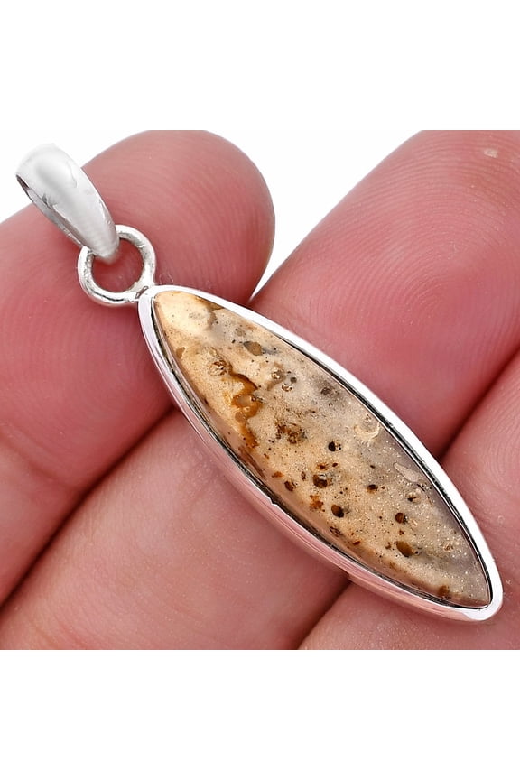 Natural Palm Root Fossil Agate 925 Sterling Silver Pendant Jewelry P-1002 SDP144592