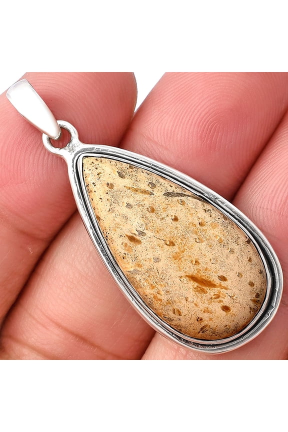 Natural Palm Root Fossil Agate 925 Sterling Silver Pendant Jewelry P-1050 SDP140441