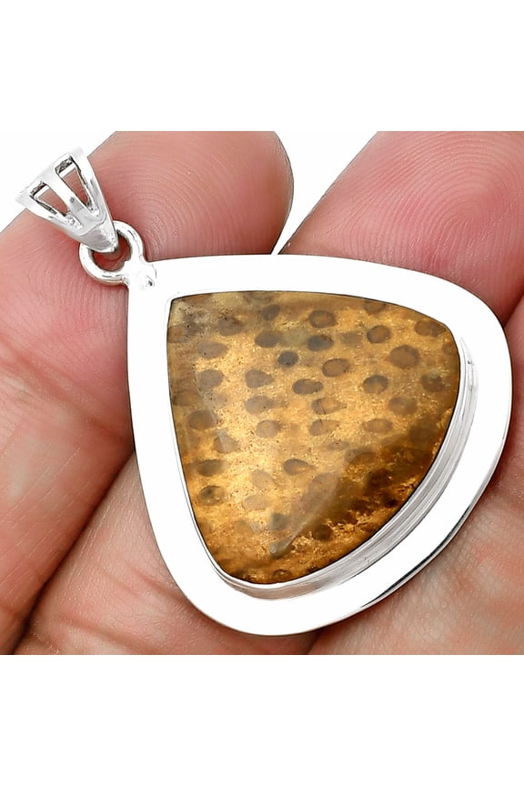 Natural Palm Root Fossil Agate 925 Sterling Silver Pendant Jewelry P-1076 SDP138843
