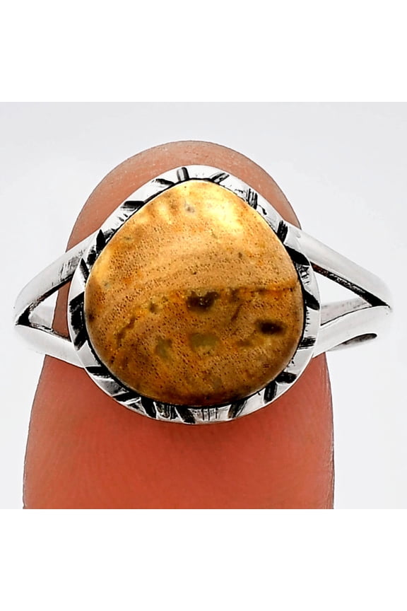 Natural Palm Root Fossil Agate 925 Sterling Silver Ring s.10 Jewelry R-1074 SDR230882