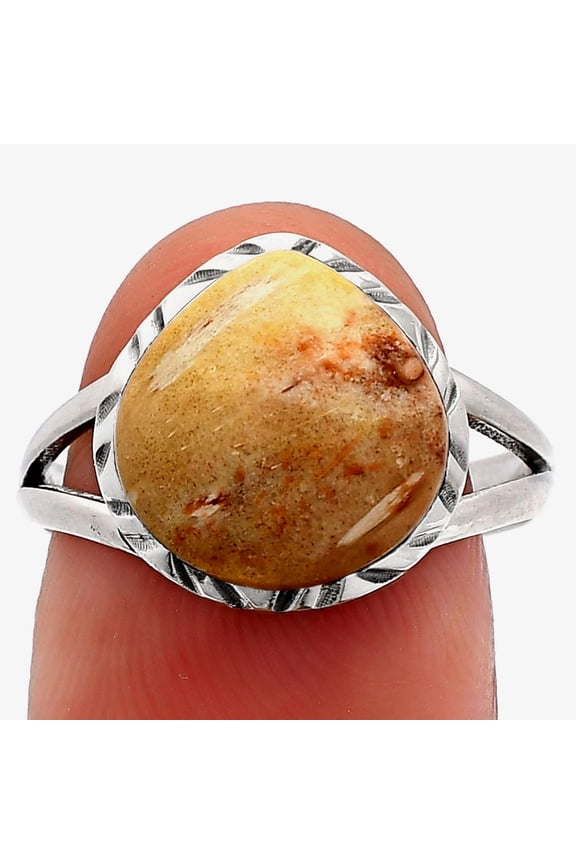 Natural Palm Root Fossil Agate 925 Sterling Silver Ring s.8 Jewelry R-1074 SDR230997
