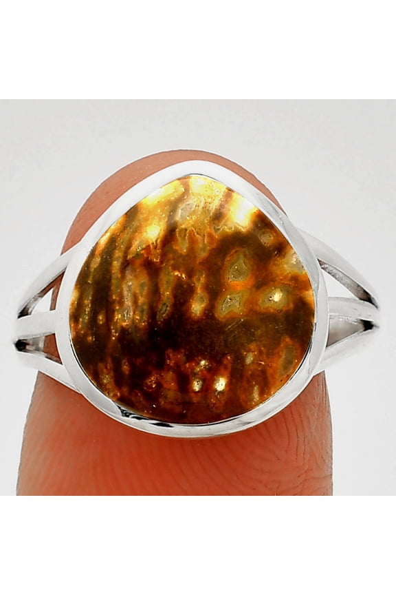 Natural Palm Root Fossil Agate 925 Sterling Silver Ring s.9 Jewelry R-1006 SDR234717