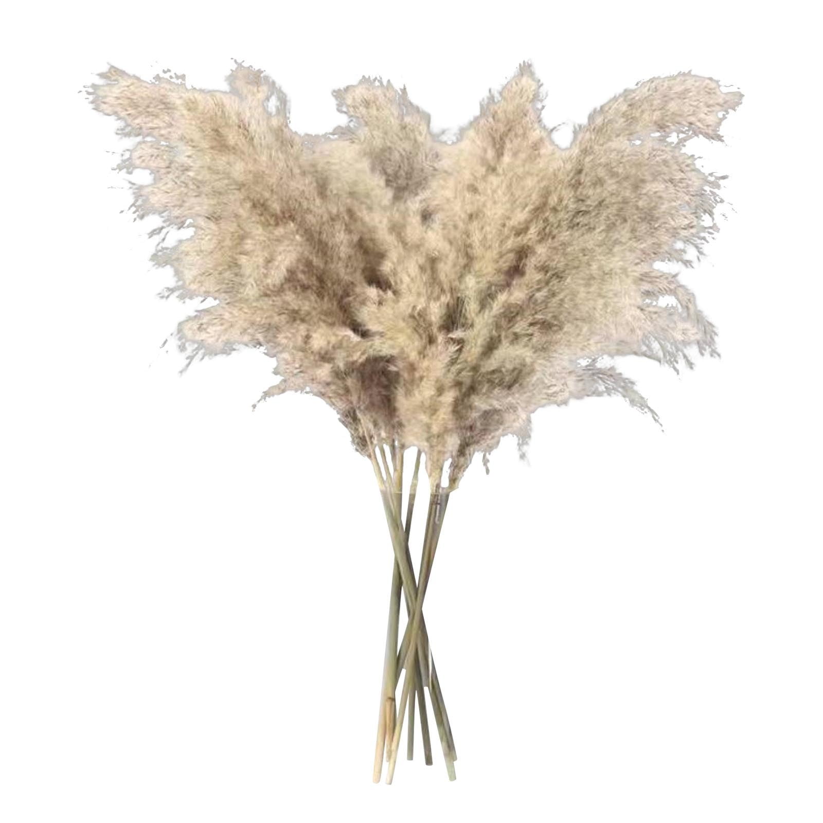 Natural Pampas Grass Bouquet, Fluffy Dried Flowers for Home Decor, Weddings, and Events White