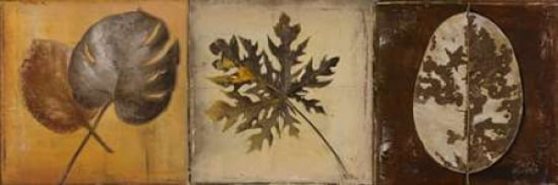 Natural Panel I Canvas Art - Patricia Pinto (12 x 36)
