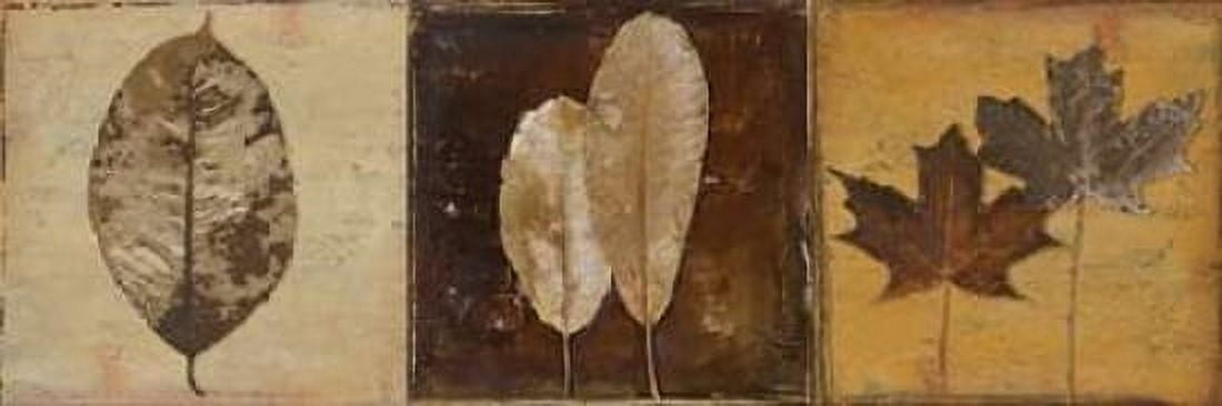 Natural Panel II Canvas Art - Patricia Pinto (12 x 36)