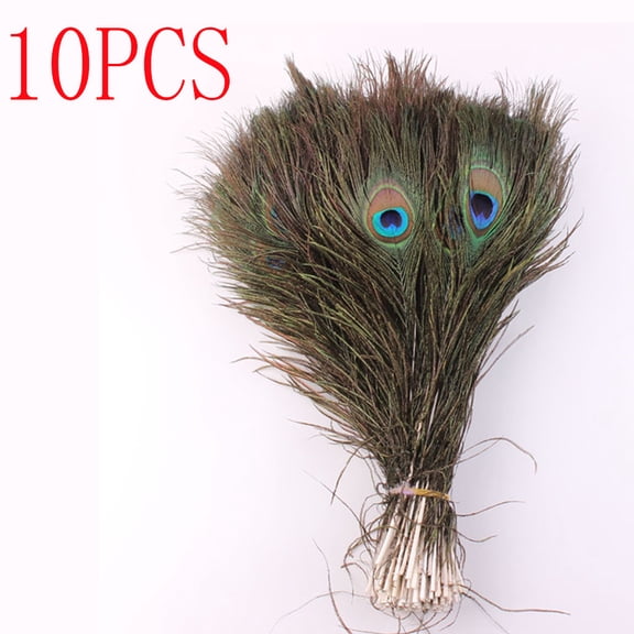 Natural Peacock Feathers 10PCS, Real Peacock Tail Eye Feathers for DIY Crafts Party Decor, 10-12 Inches Long Peacock Plumes for Home Wedding Floral Arrangement