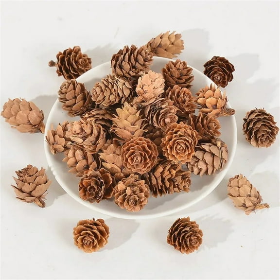 Natural Pine Cones for Christmas Pine Cones Ornaments 1.57in Pinecones Mini Pine Cones for Christmas Thanksgiving Fall Crafts Decoration, Set of 24