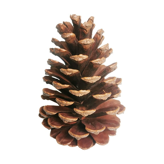 Natural Pinecones,Christmas Rustic Natural Pine Cones Fall Ornaments for DIY Crafts, Home Wedding Christmas Decorations