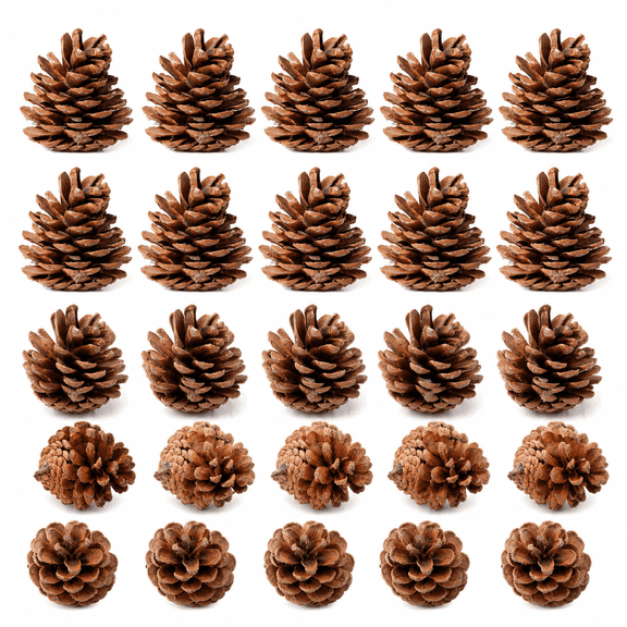Natural Pinecones