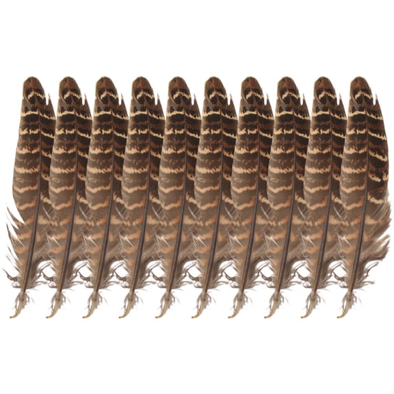 Natural Pheasant Plumes for Crafts Multi Color DIY Dream Catcher Home Decor Accessories 1 Bag