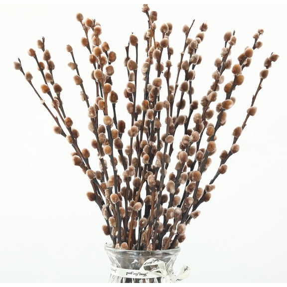 Natural Preserved Dried PussyWillow Branches for Vases, 20 Stems Real Willows, 17 Snow Pussywillows, Flowers Indoor Decor, Wedding Home DIY Floral Art Plants Fireplace, Brown