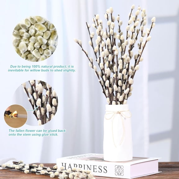 Natural Preserved Dried PussyWillow Branches for Vases, 25 Stems Real Willows, 17" Snow Pussywillows, Dried Flowers for Indoor and Outdoor Decor, Wedding Home DIY Floral Art Plants Fireplace