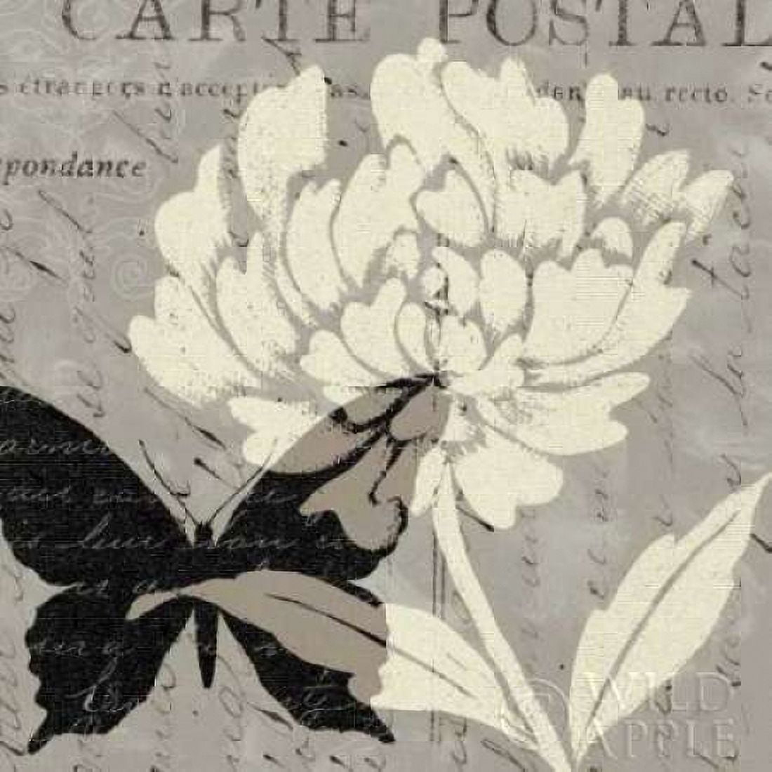 Natural Prints I Canvas Art - Daphne Brissonnet (24 x 24)