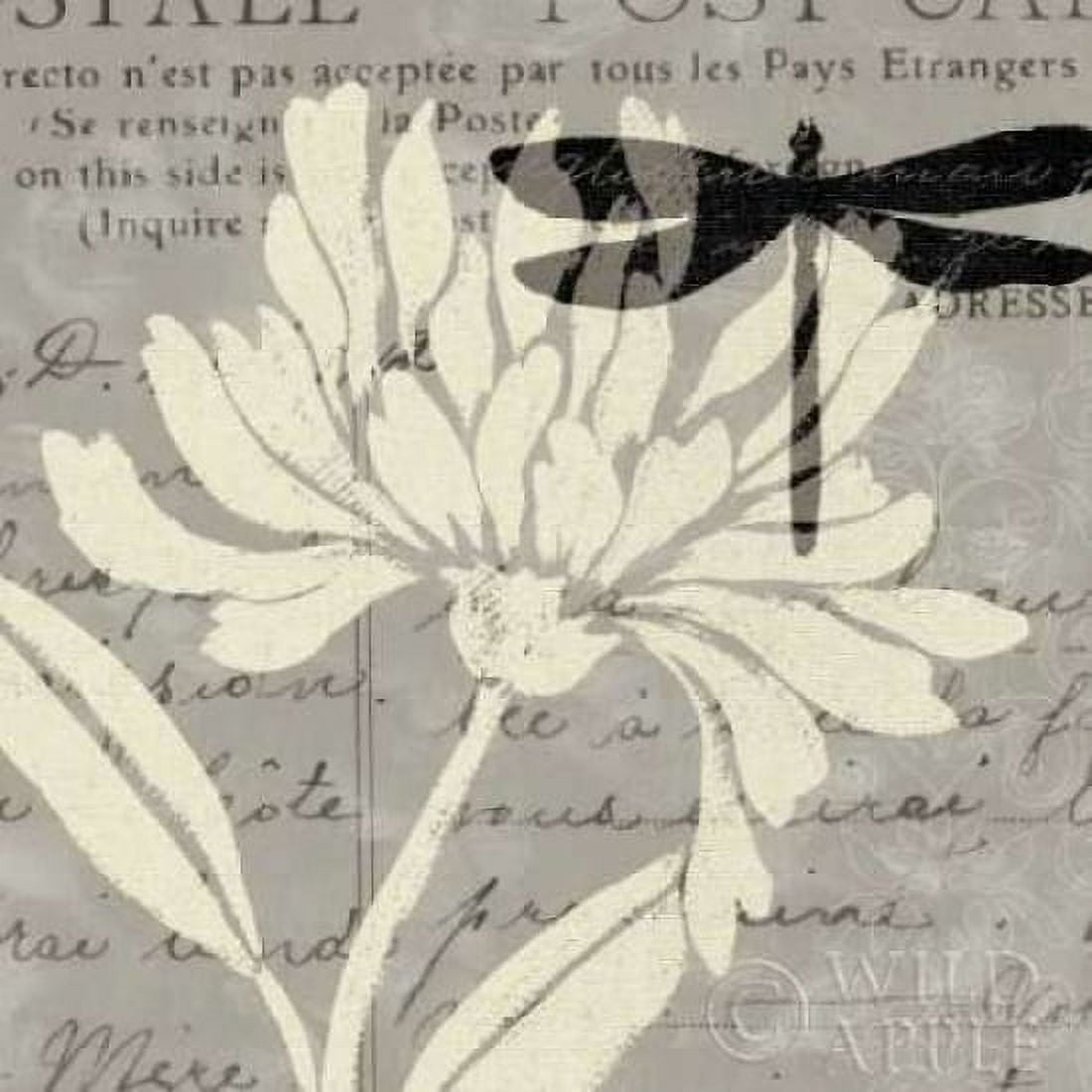 Natural Prints II Canvas Art - Daphne Brissonnet (24 x 24)