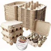Natural Pulp Paper 1 Dozen Quail Egg Cartons, Reusable, 20 Pack, Box for Refrigerator Small Pheasant Pigeon Egges