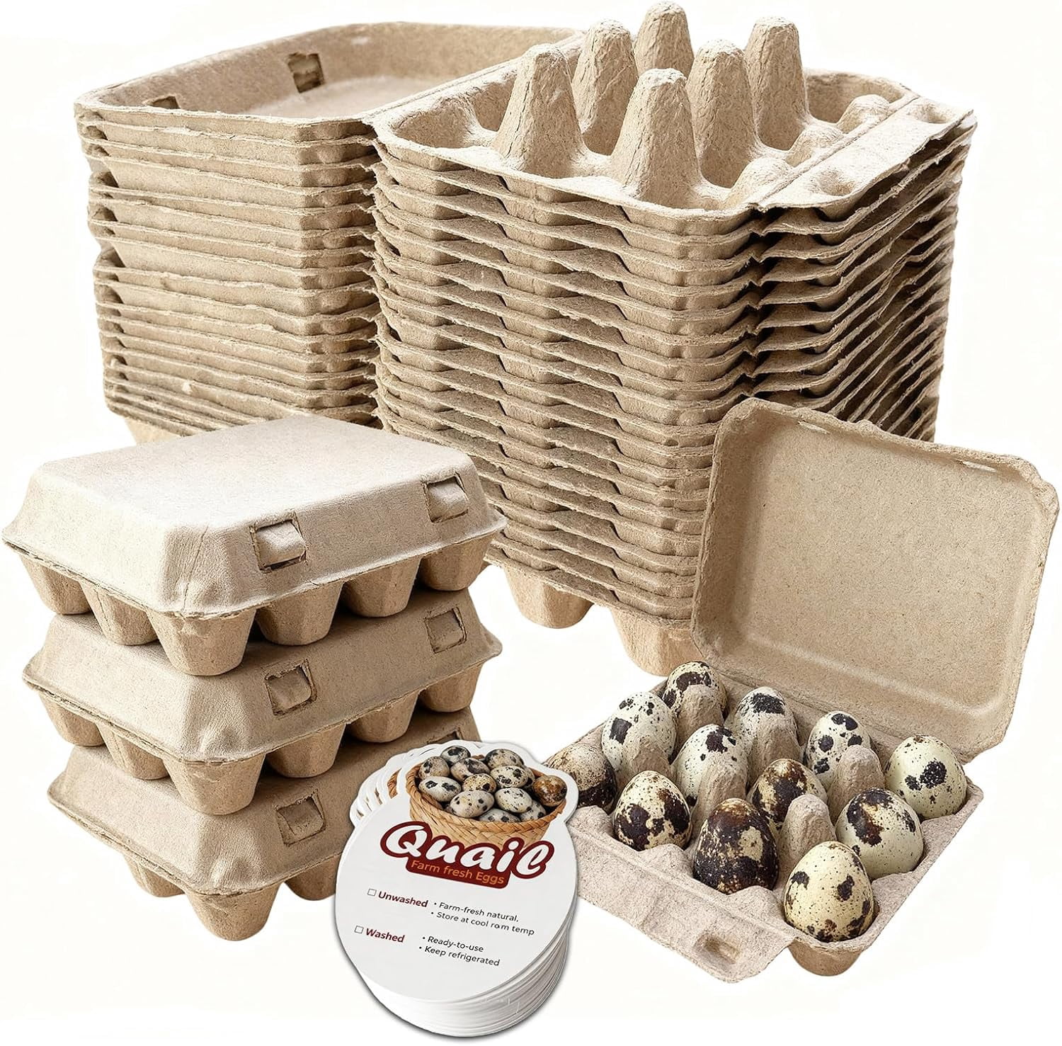 Natural Pulp Paper 1 Dozen Quail  Egg Cartons, Reusable, 50 Pack, Box for Refrigerator Small Pheasant Pigeon Egges